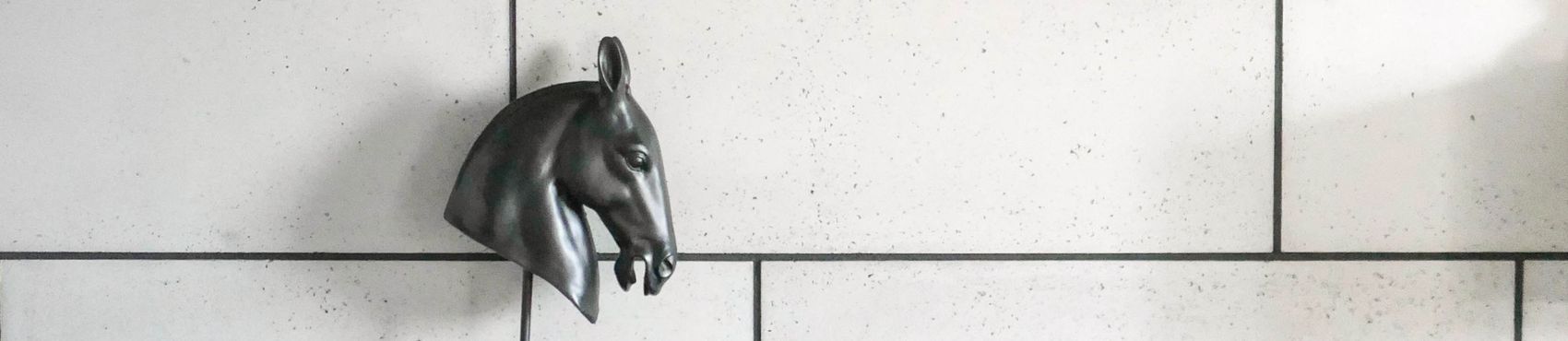 pasek_ Archicuda Projekt Marvel